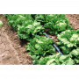 Juosta Aqua-Traxx 8mil x 10cm (2500m)|