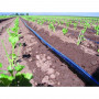 Juosta Aqua-Traxx 8mil x 10cm (2500m)|