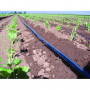 Juosta Aqua-Traxx 8mil x 30cm (2500m)|